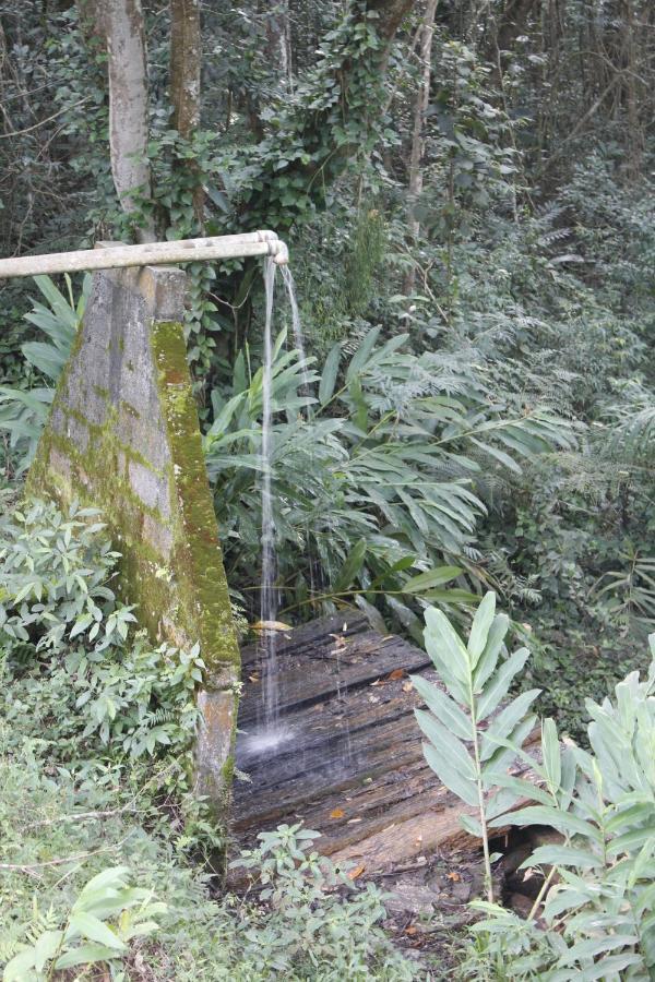 Chale 4X4 Alto Da Serra De Sao Roque. エクステリア 写真